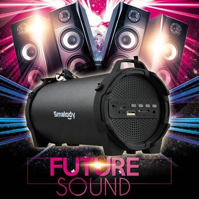 Waterproof Wireless Bluetooth Speaker Super Bass Subwoofer FM Radio Portable