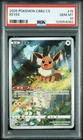 PSA 10 Pokemon Chinese Exclusive Eevee Art Rare 2025 CBB2C 01 15/15 Gem2