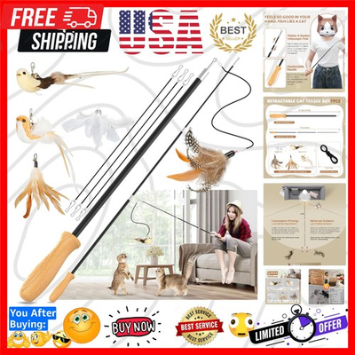 #ad Extended 42.15 Inch Cat Teaser Wand Eco Friendly Interactive Bird Toys $27.99