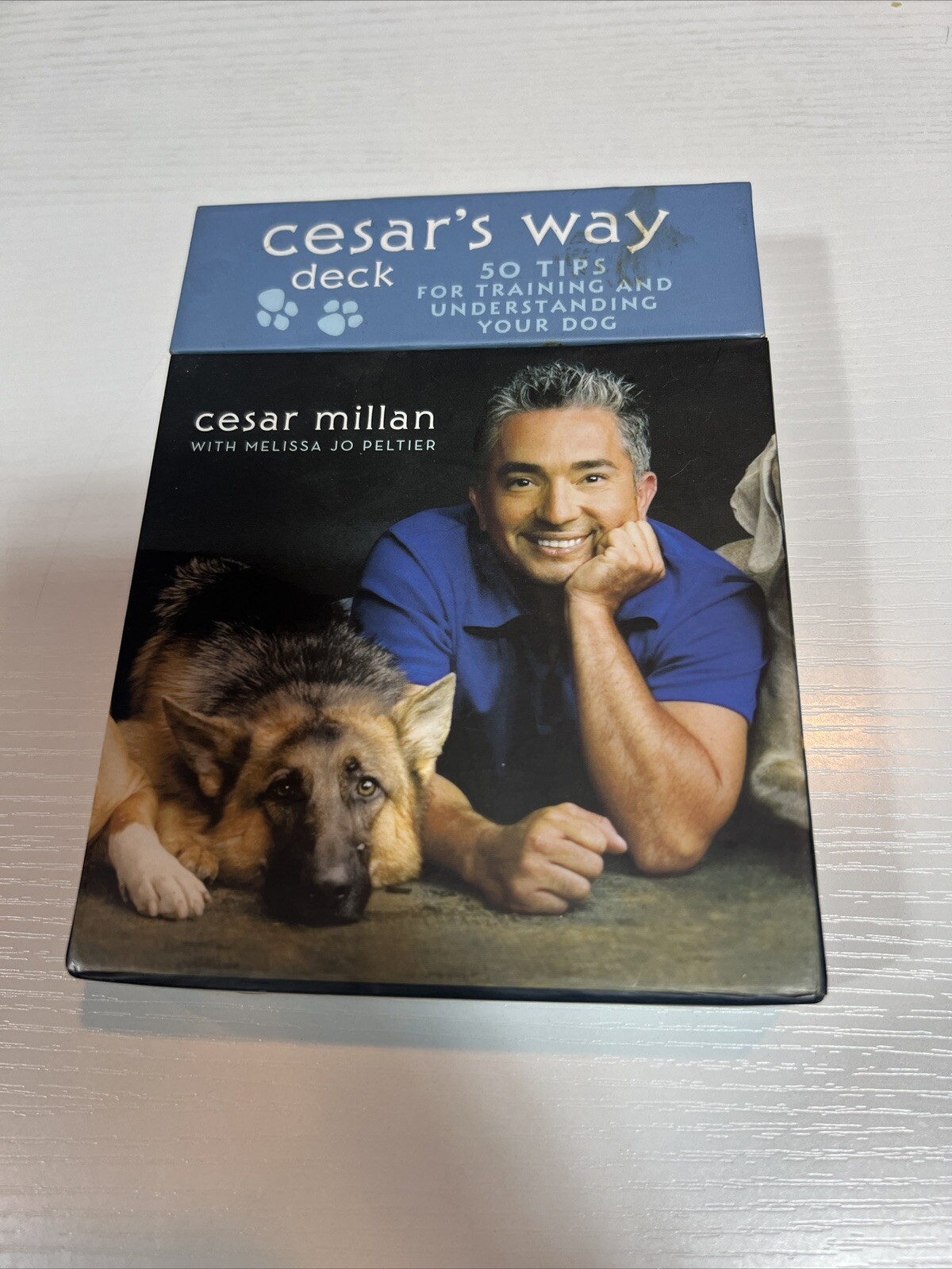 Cesar's Way Deck: 50 Tips for Training & Understanding Your Dog by Cesar Millan