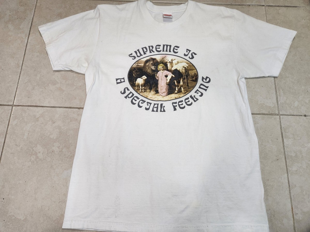 Supreme Is a Special Feeling Tee FW16 White William Strutt Peace