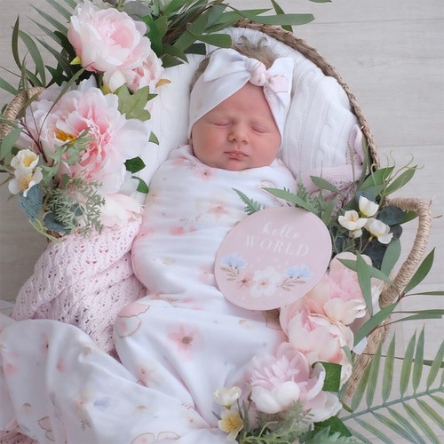 Living Textiles 2PK Premium Cotton Jersey Swaddle Wrap - Fly Away - Picture 4 of 4