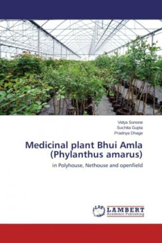 Medicinal Plant Bhui Amla (phylanthus Amarus) In Polyhouse, Nethouse