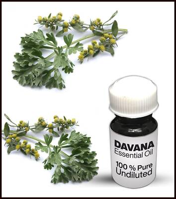 Davana Essential Oil 100% Pure Undiluted (10ML-500ML)