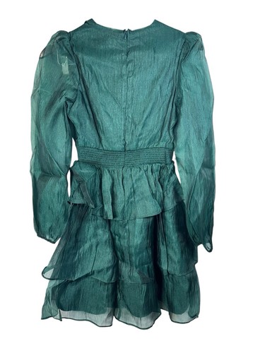 Neu ohne Etikett Rachel Parcell langärmliges Rüschenkleid metallic bestickt grün Größe 0 - Bild 13 von 14