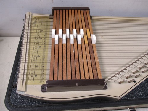 Instrumento de colección Autoharp de Oscar Schmidt de 12 cuerdas con estuche - Imagen 2 de 24