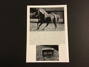 SECRETARIAT  photo Horse Racing CHAMPION 1973 TRIPLE CROWN