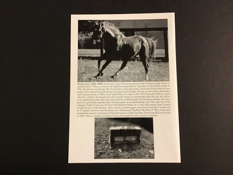 SECRETARIAT  photo Horse Racing CHAMPION 1973 TRIPLE CROWN