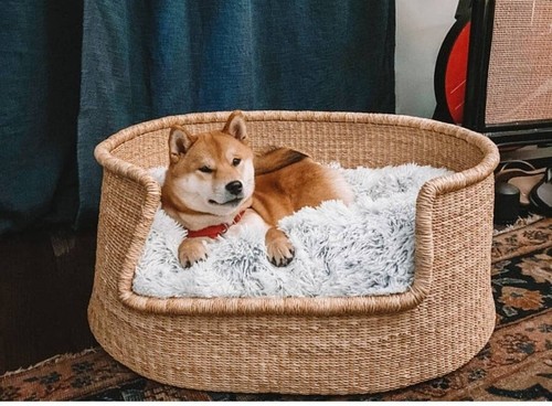 ebay dog baskets