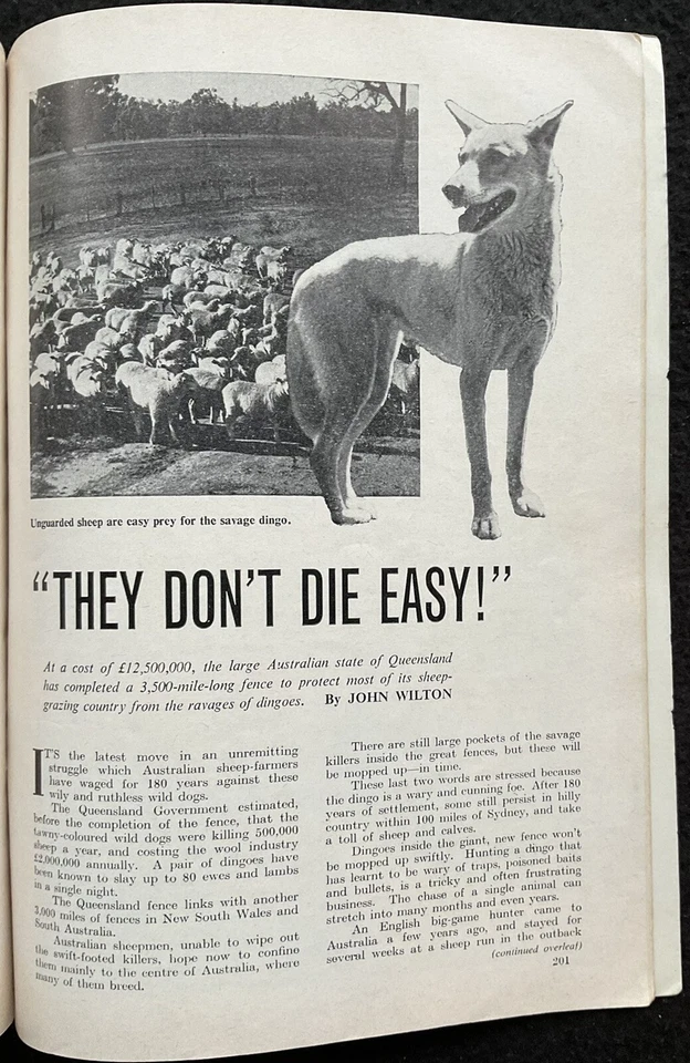 THE WIDE WORLD - October 1962, True Adventure Magazine For Men, Dingo Fence, UK - Image 2 of 4