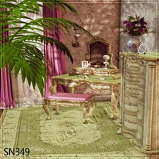 Indoor 10'x10' Computer-painted CP Scenic Photo Background Backdrop SN349B881