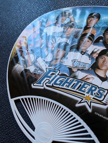 Shohei Ohtani Nippon Ham Fighters Fan Combo + Facsimile Signature + Team Photo - Picture 11 of 16