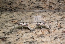 Star Wars: X-Wing 2.0 Miniatures V-19 Torrent...