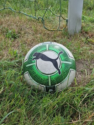 Puma EVO Power Official Matchball