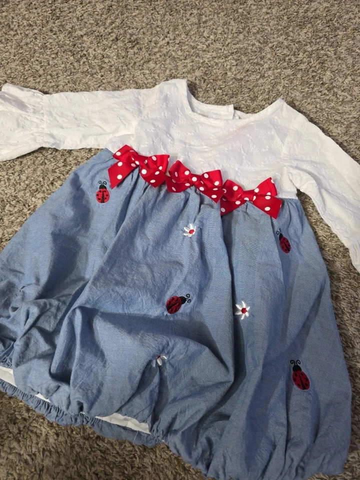 Vestido Goodlad Niñas Ladybug Bubble Bottom Talla 4 Usado en Excelente Condición C16 Foto 2 de 4