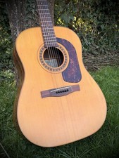 Giannini Vintage 70’s Acoustic Guitar, Brazilian Rosewood, Gibson Strings