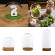 Glass Cover Landscape Vase Container W/ Tray For Plant Flower Decor Great