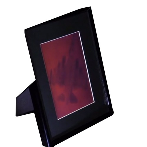 F-12 Fighter Jet 2-Kanal 3D Sammlerstück Hologramm Bild PHOTOPOLYMER - gerahmt - Bild 7 von 12