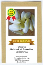 Chicorée - Chicoree - Brüssel, di Bruxelles - 200 Samen