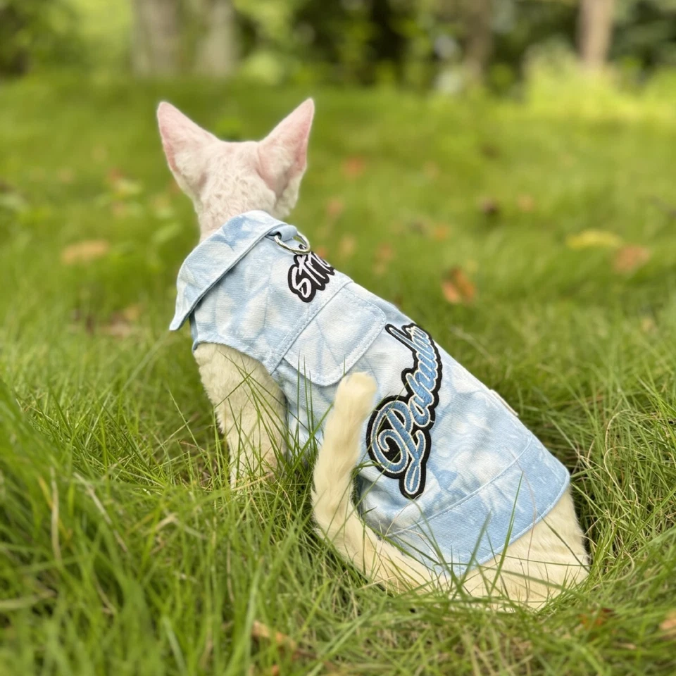 Spring and Autumn Cowboy Embroidered Vest Sphinx Hairless Cat German Clothes - Image 3 of 4