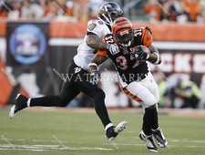 EN642 Cedric Benson - Ed Reed Bengals Ravens 8x10 11x14 16x24 24x36 Photo