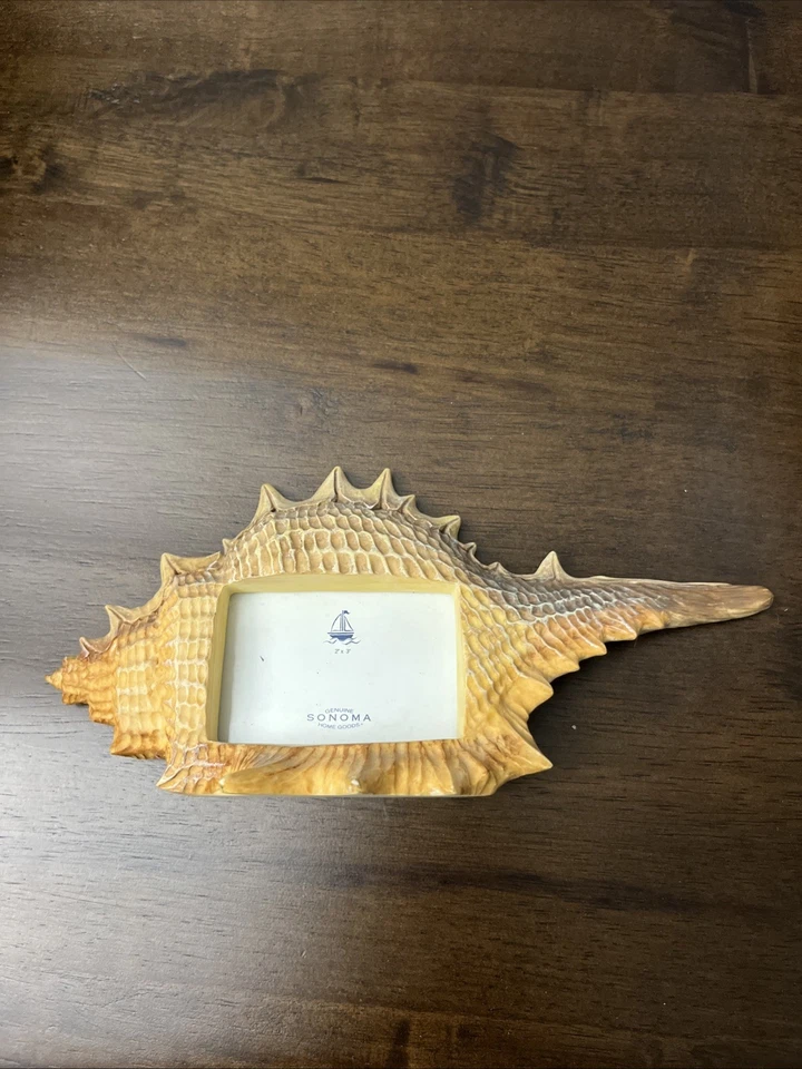 Sonoma Life + Style Рамка для Картинки ~ Морская Раковина 2,5 X 2 дюйма 9 дюймов Длина - Изображение 4 из 4