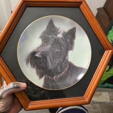 Danbury Mint Collecter Scottish Terrier Plate Framed
