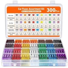 300pcs Automotive Blade Fuse Assortment Kit, Micro/Mini/Standard, 2A–40A