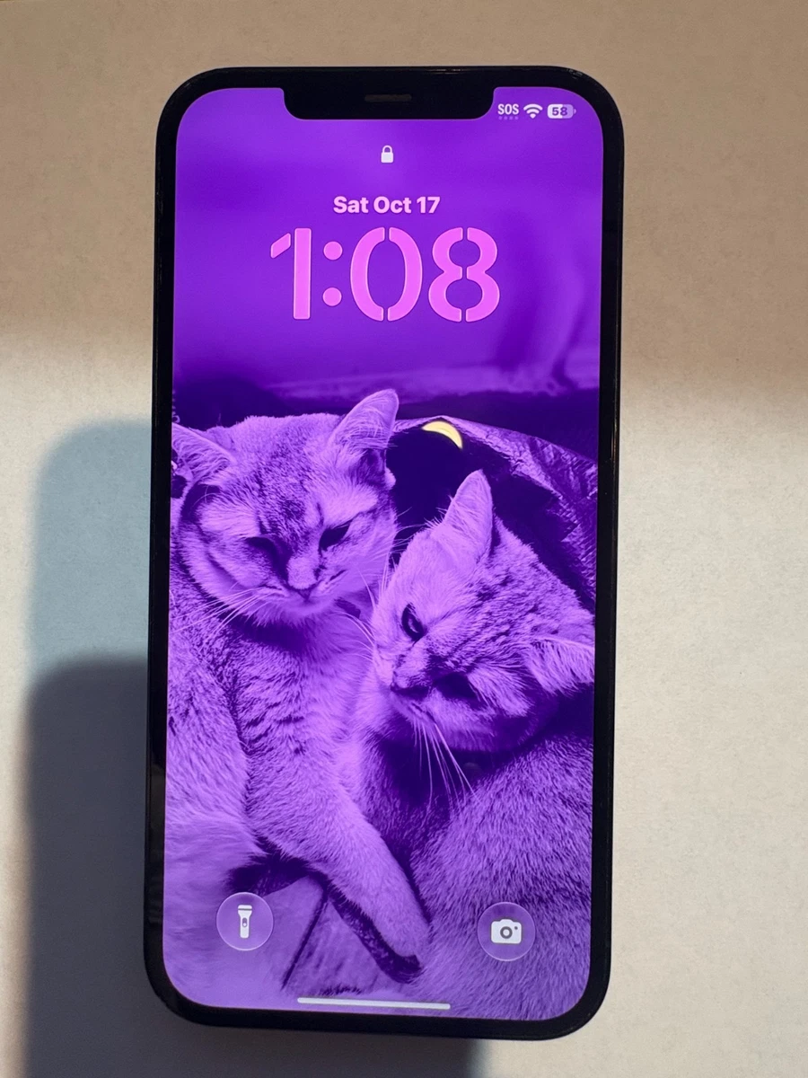 25+ Apple iPhone 12 Pro Max 256GB for sale | Updated Oct 2026