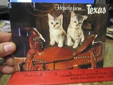 S1 Oversize Big Jumbo Size Postcard TEXAS Howdy from Dallas Cowboy Kitten Cats