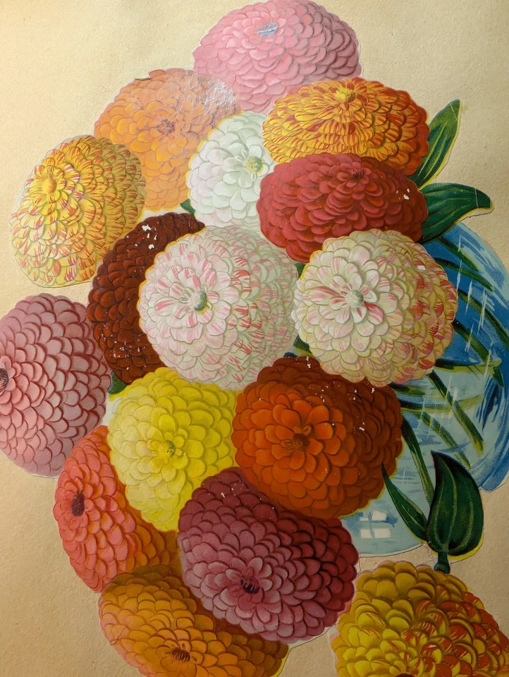 Álbum CROMOLITÓGRAFO 9x12 raro da década de 1880 com mais de 40 lindas páginas coloridas! - Imagem 2 de 4