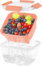 50oz Berry Keeper Fruit Storage Container for Fridge Fresh Food Produce Saver