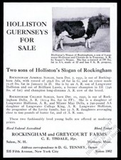 1932 Guernsey champion cow photo Holliston cattle breeder vintage print ad