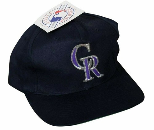 Purple Snapback Baseball Cap Hat 