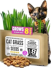 Cat Grass Seeds 2 Oz. Grow 8 Pots Of Edible CatGrass For Indoor Cats & Kittens
