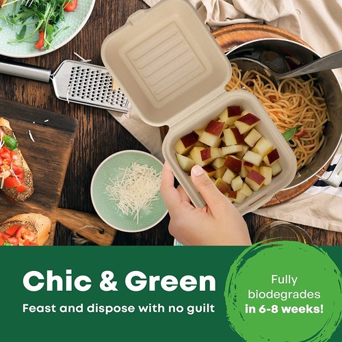 6"x6" Bagasse Food Containers Clamshell Takeaway Biodegradable Boxes 50-1000PCS - Picture 9 of 12