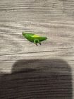 Vintage GI Joe 1985 Shipwreck Green Bird Parrot Polly Original Hasbro Part