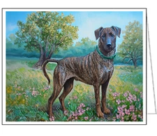 Treeing Tennessee Brindle Fine Art Notecards - Set of Six