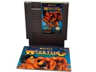 Tecmo World Wrestling Nintendo Video Games