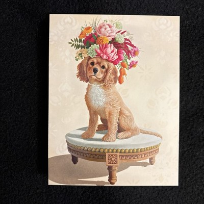 LIQUIDATING-Leanin  Tree Any Occasion Blank Greeting Note Card (Posing Puppy)