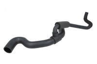 Thermotec KüHlerschlauch DWP114TT FüR CitroËN Peugeot