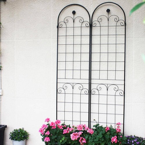 Tunearary 19.7 in. x 86.7 in. Iron Arched Trellis Fence for Climbing Plants for - Picture 3 of 6