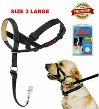 dogmatic headcollar size 2