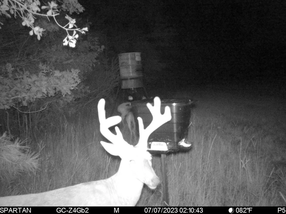 Deer feeder - Image 4 of 4