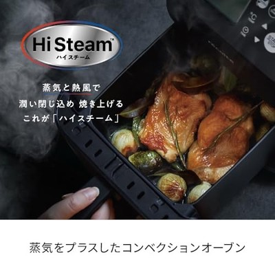 recolte Hi Steam Air Oven RAO-3 Natural Black | eBay