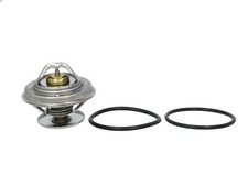 Thermostat Ssangyong RODIUS