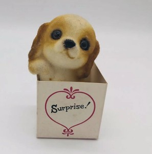 dog surprise box