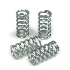 TRW Kupplungsfedern (für: Suzuki GSX 750 GS75X 80-82 )