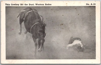 Postcard This Cowboy Bit the Dust, Western Rodeo Kr