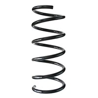 Fahrwerksfeder Hinterachse Schraubenfeder Ø120Mm Spidan FüR U.A. Fiat 500